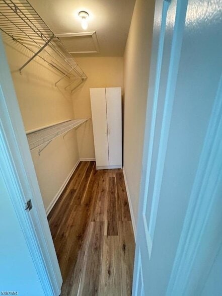 Building Photo - 3606 Cricket Cir