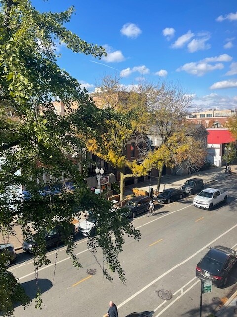 Building Photo - 1531 N Wells St