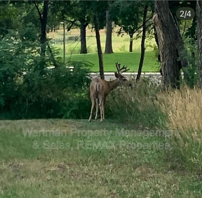 Building Photo - 1530 Little Bear Creek Point