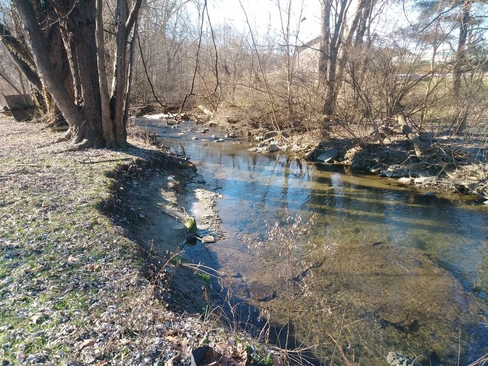 Adjoining stream - 150 Franklin Rd