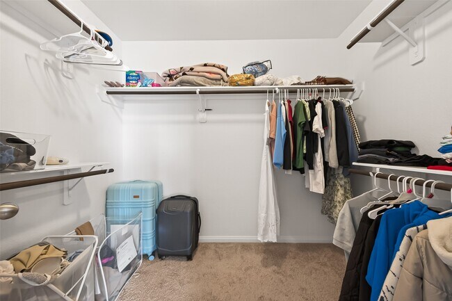 Building Photo - 3815 W Alessano Ln