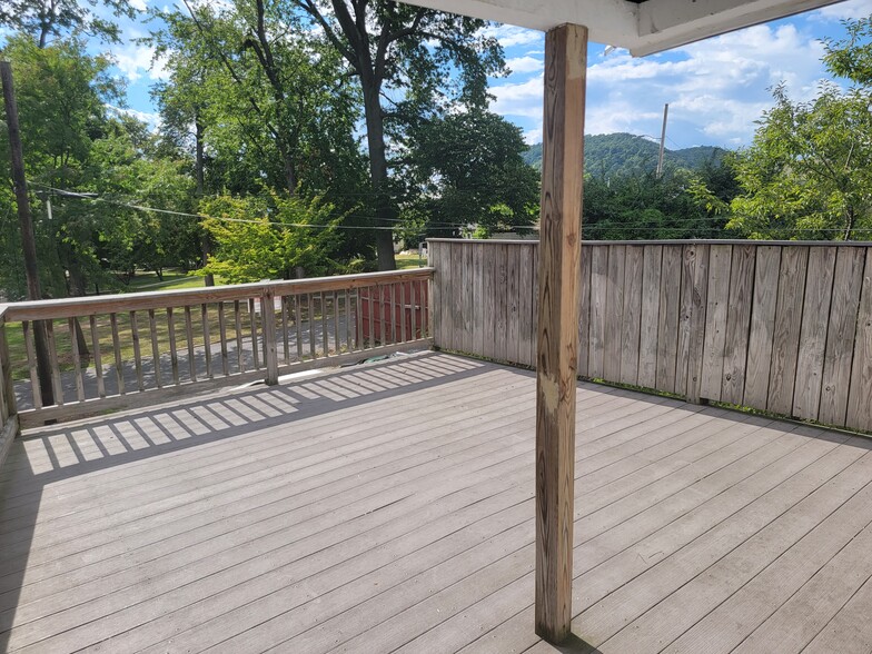 deck overlooking the park - 407 Bloom St