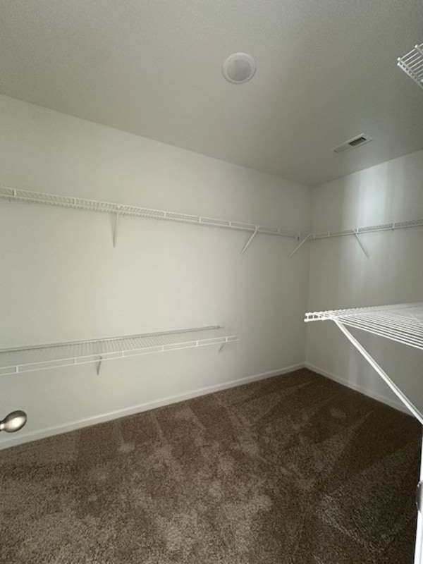 Building Photo - 309 Indigo Springs Dr