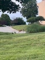 Building Photo - 99 Ventura Dr