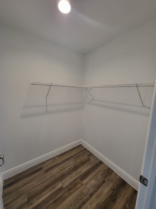 Building Photo - 5012 Dolphin Ct