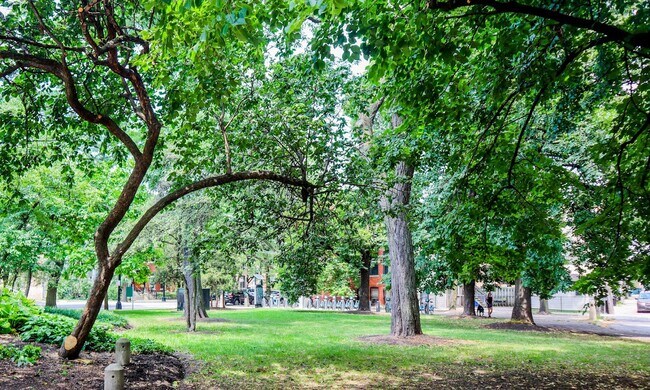 Arrigo Park - 1/2 block away - Harris Point Chicago