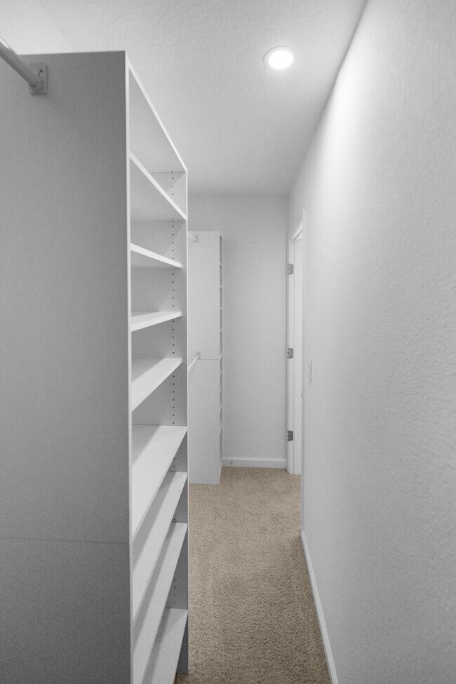 Building Photo - 46 Wading Ibis Rd