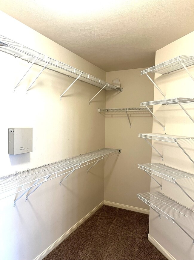 Building Photo - 25123 Ibris Ranch Dr