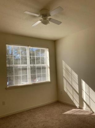 Building Photo - 415 S Villa San Marco Dr