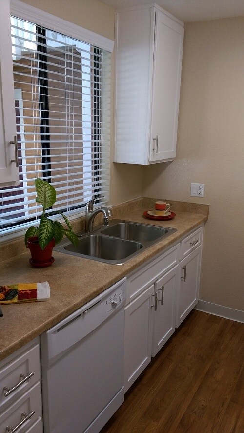 kitchen with lots of light - 3943 Southampton Ter