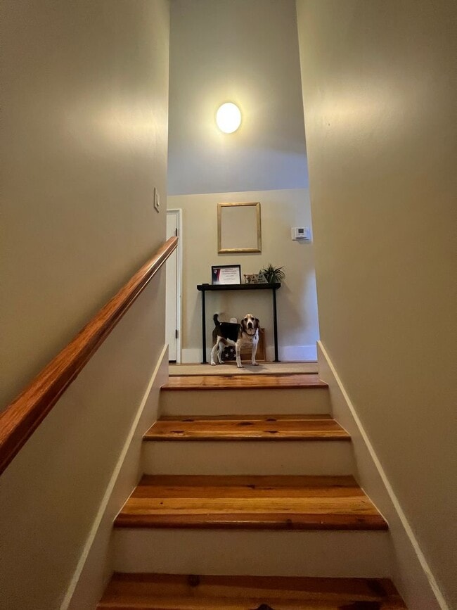 Building Photo - Waters Home
