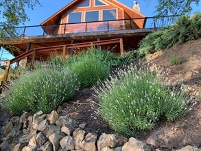 Building Photo - Custom Built Home on the Clearwater River - 20 minutes from Lewiston, ID