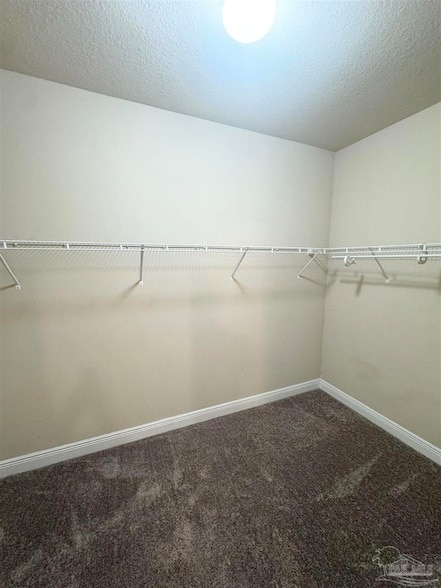 Building Photo - 4137 Tamworth Ct