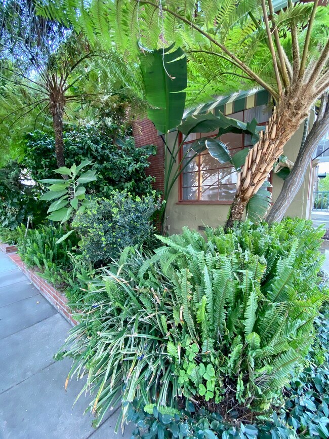 Front of Unit - 1935 1/2 Palmerston Pl