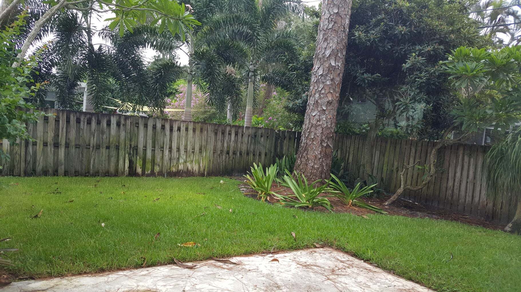 Building Photo - 1132 SW 3rd St