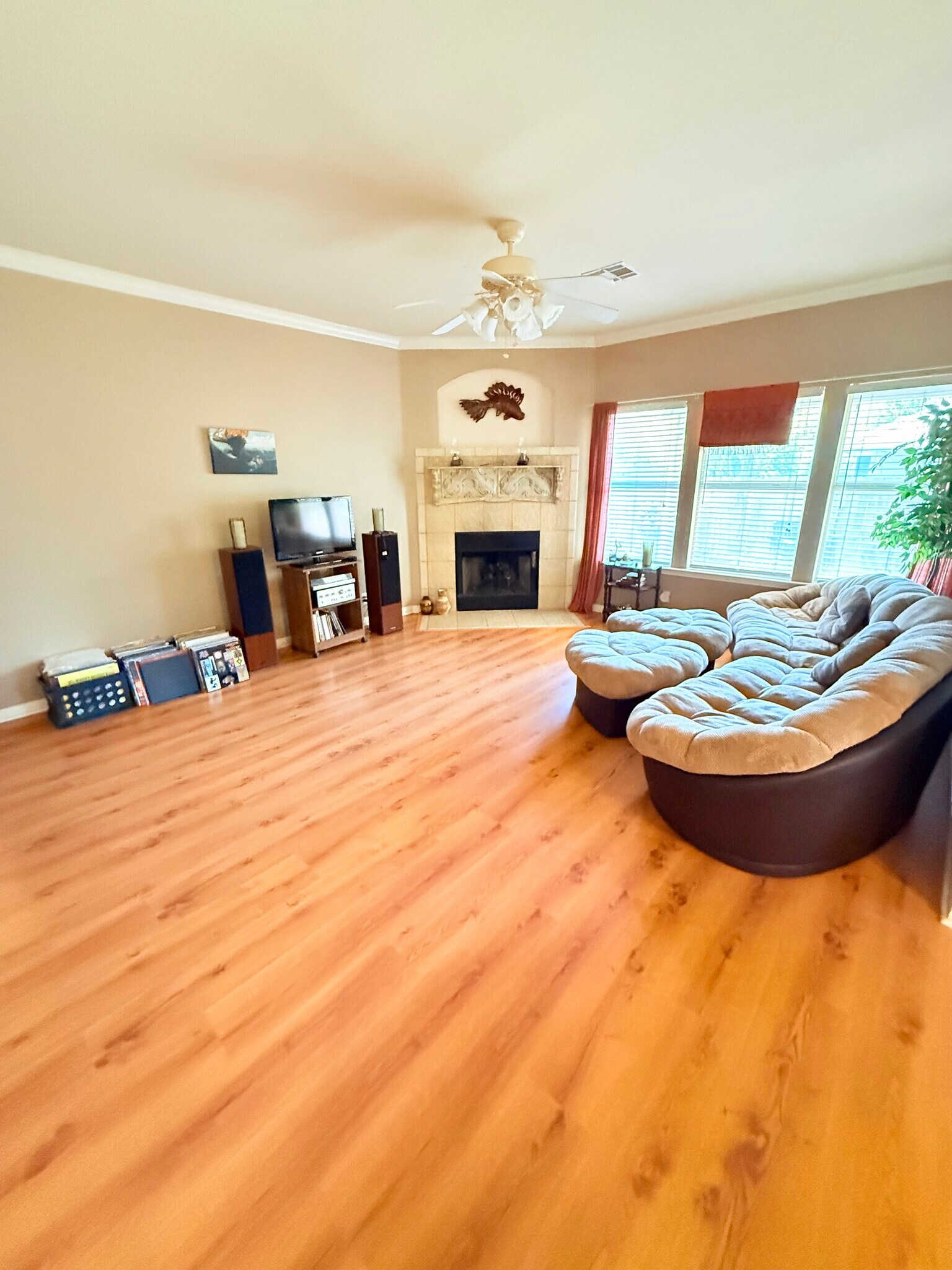 Livingroom #1 - 584 Rockhurst St