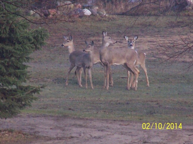 Building Photo - 11737 21 Mile Rd