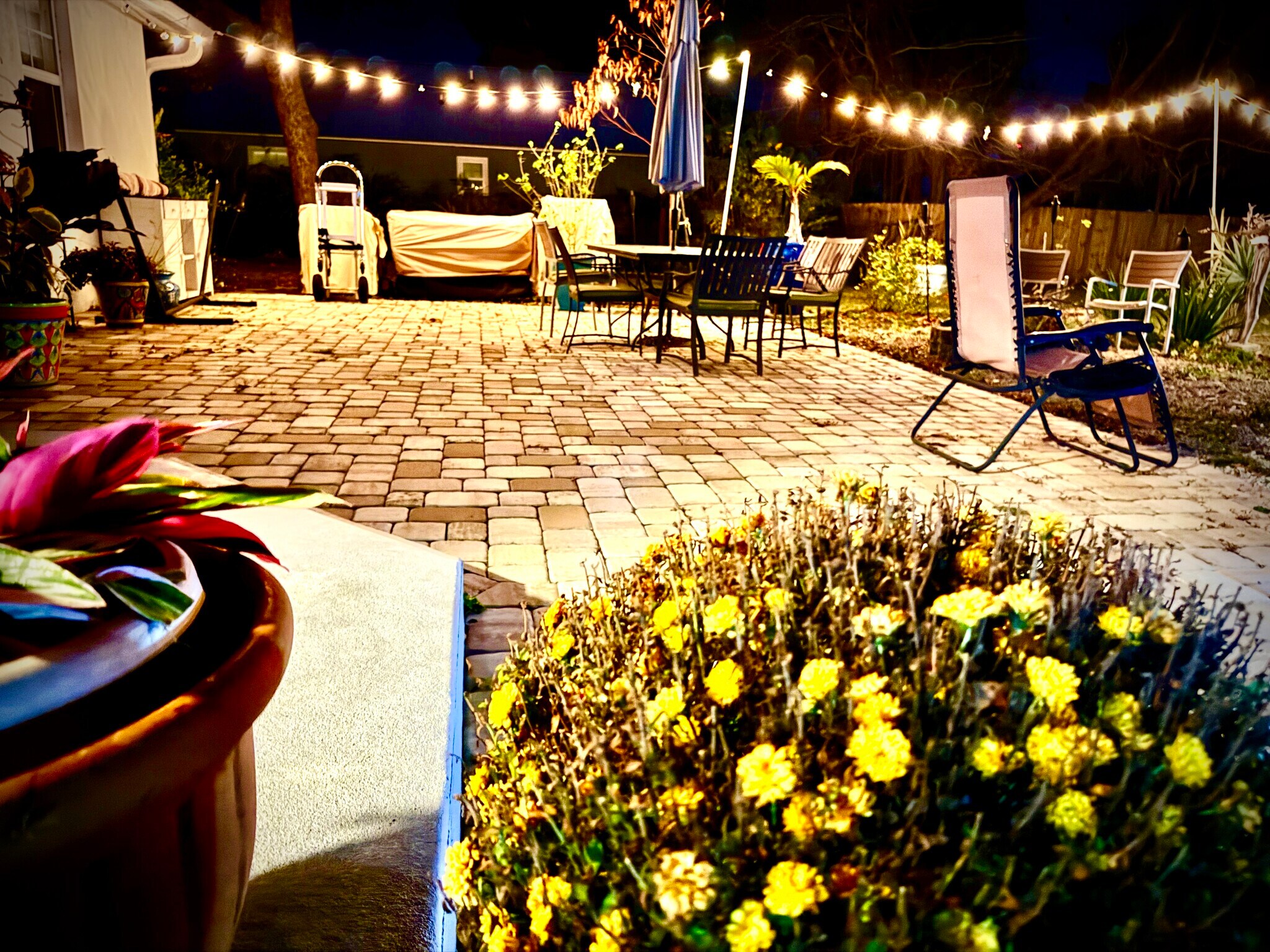 Back patio - 60 Julia St