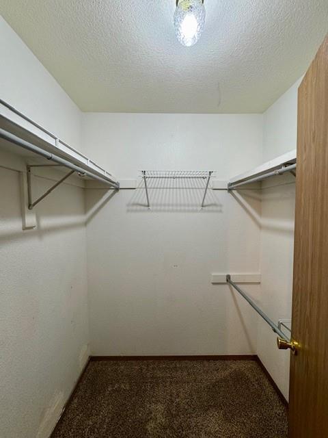 Building Photo - 221 Fox Run Pl