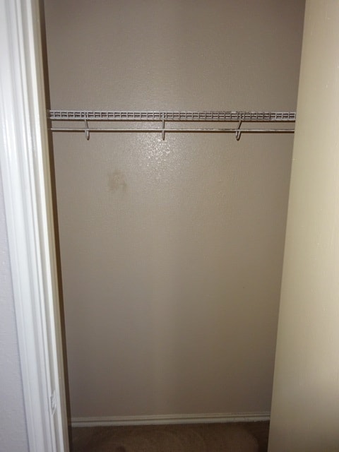 Building Photo - 3638 Candlehead Ln
