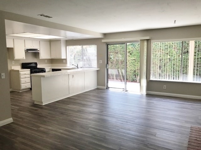Building Photo - Beautiful family home in Newbury Park!