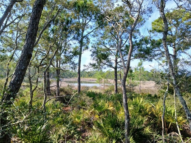 Building Photo - Charming Coastal Rental at Bald Point FL