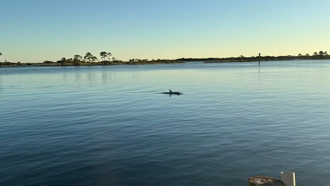 Building Photo - 209 W Miracle Strip Pkwy