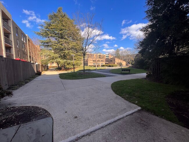 Courtyard - 807 N Howard St