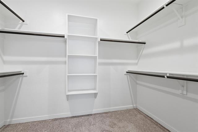 Building Photo - 2524 Little Wonder Ln