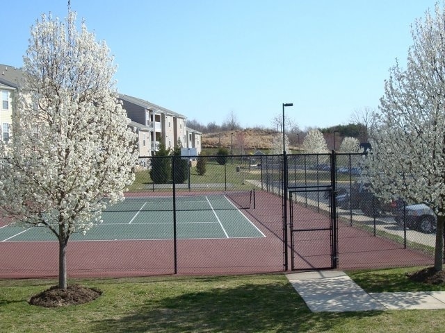 Tennis Court - Malvern Lakes