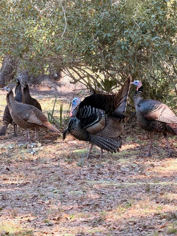 Building Photo - 53706 River Trace Rd