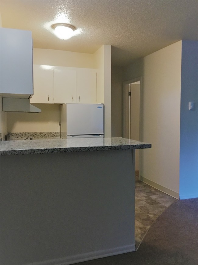 1 BEDROOM 1 BATHROOM: KITCHEN/ GRANITE TOPS! - Cedar Manor