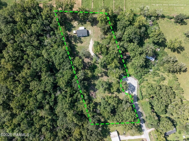 Building Photo - 113 Simon Latour Rd