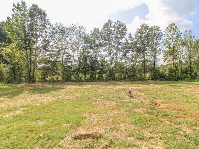 Building Photo - Great Location close to Athens!