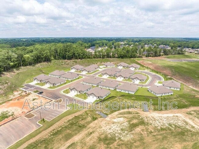 Building Photo - 2141 Houston Lake Rd