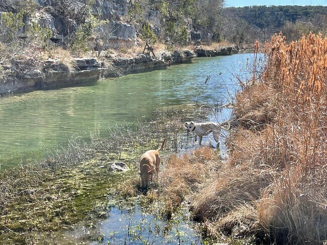 Building Photo - 275 Creek Ridge Trail W