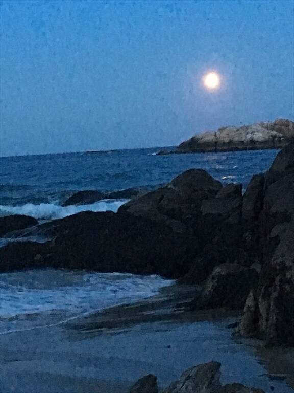 Building Photo - 22 Morse Ct