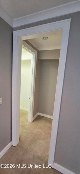 Building Photo - 710 Manship St