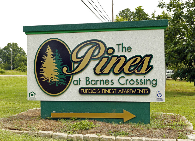 Primary Photo - Pines at Barnes Crossing