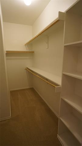 Building Photo - 1817 Berrywood Dr