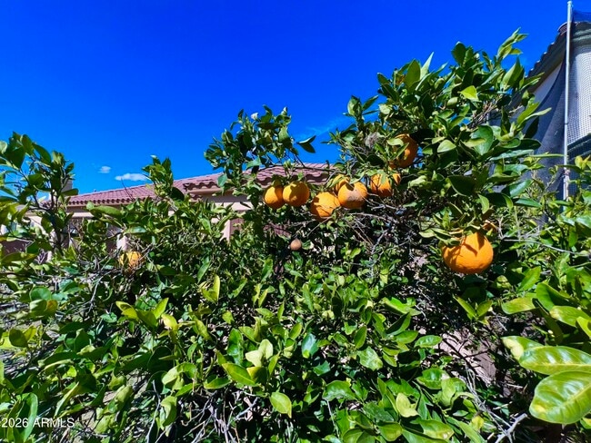 Building Photo - 14313 W Alvarado Dr