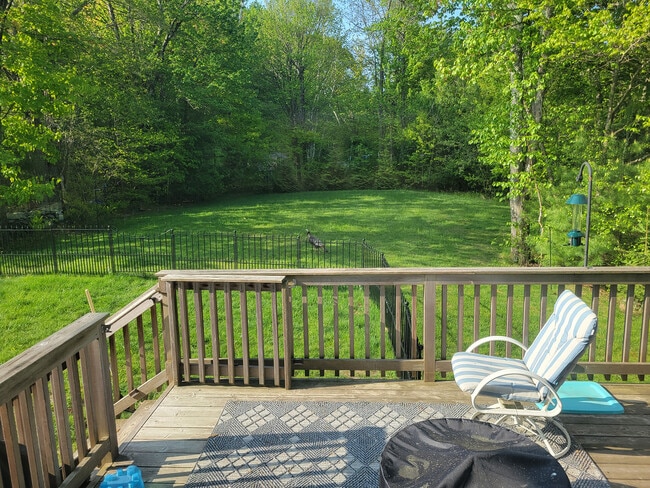 Back yard in summer - 6 Trillium Way