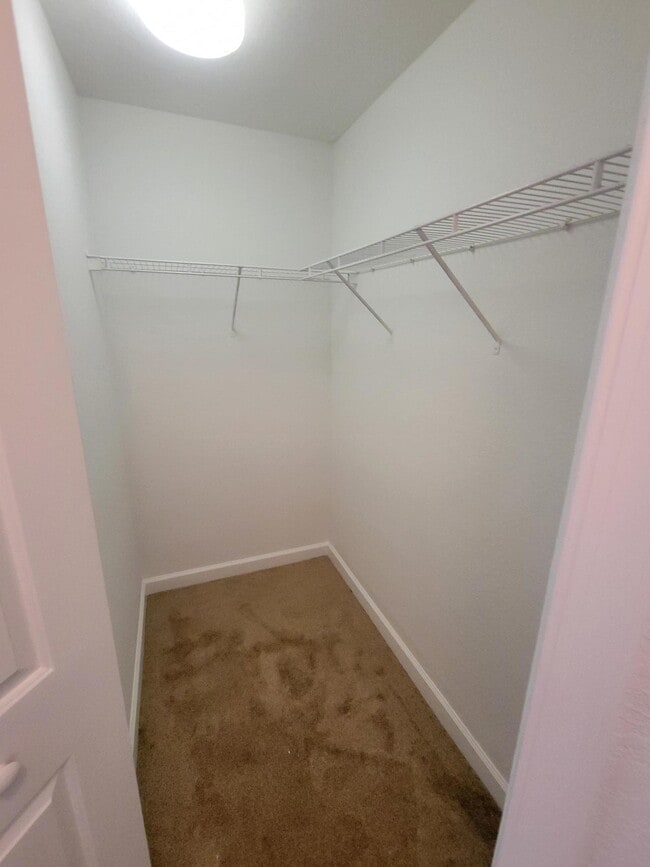 Building Photo - 3517 Shoma Ln