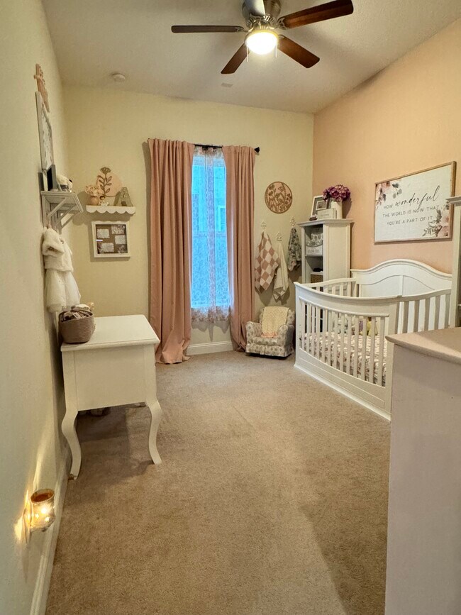 Building Photo - 55 Cortona Ln