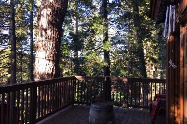 Building Photo - 31644 Christmas Tree Ln