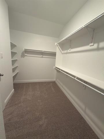Building Photo - 3928 Limestone Blf Dr
