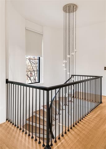 Building Photo - 4201 Potomac Ave