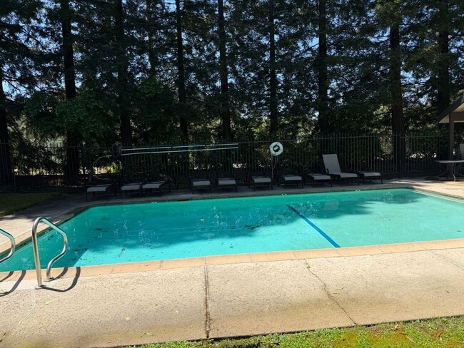 Building Photo - Gorgeous 2 bedroom 2 bath duplex in the trees