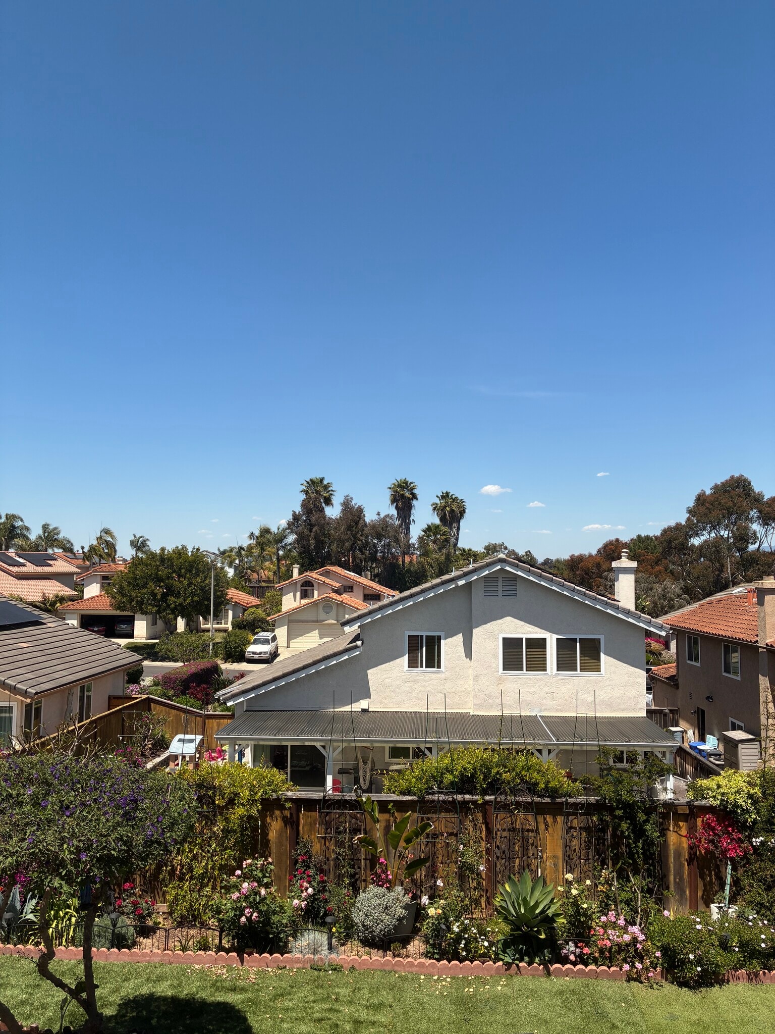 Building Photo - 1133 La Tortuga Dr