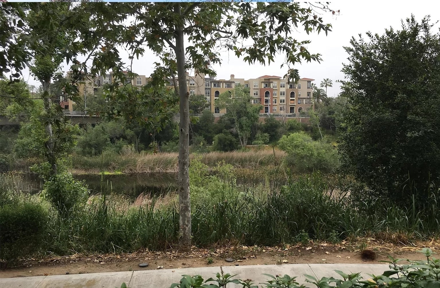 Riverwalk (trolley stop across the river) - 2150 Camino De La Reina